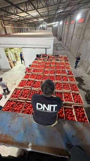 Operativo anticontrabando: DNIT incautó 53 toneladas de hortalizas en depósito de Fernando de la Mora - Economía - ABC Color