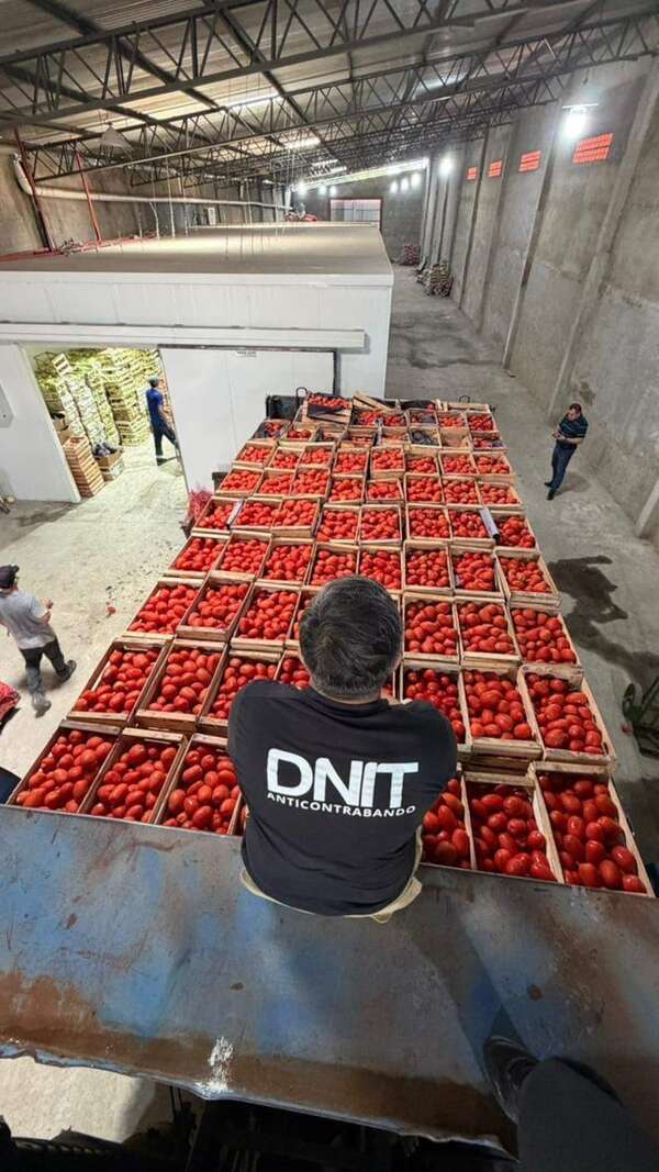 Operativo anticontrabando: DNIT incautó 53 toneladas de hortalizas en depósito de Fernando de la Mora - Economía - ABC Color