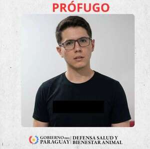 Presidente Franco: imputan a joven por matar al gato de su expareja y piden su rebeldía - Policiales - ABC Color