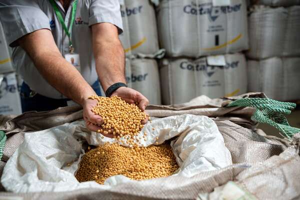 Lar Paraguay: tres décadas transformando el campo con tecnología y excelencia - ABC Rural - ABC Color