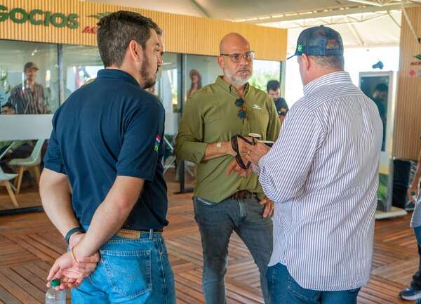 Fertilizantes: anticipar la compra para proteger margen productivo  - ABC Rural - ABC Color