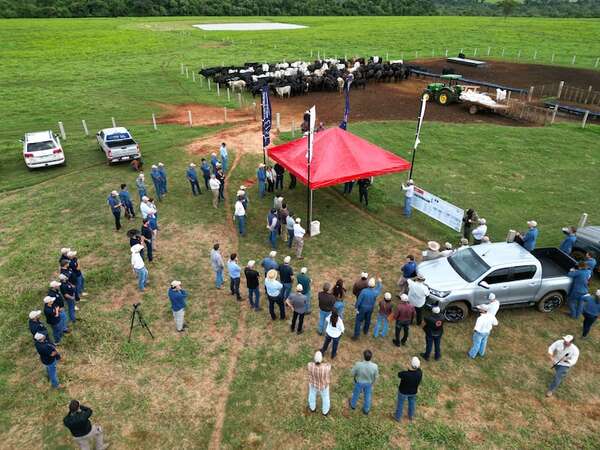 Indabal Beef Experience: excelentes resultados en jornada de campo - ABC Rural - ABC Color