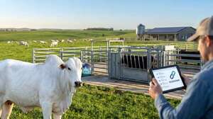 Trazabilidad, genética y certificaciones, el puente para los mercados premium  - ABC Rural - ABC Color