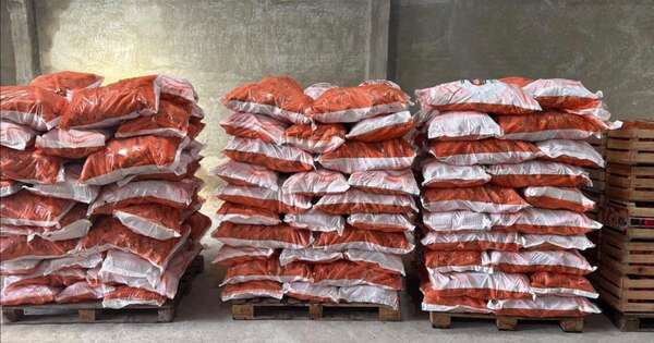 La Nación / Procedimiento logró incautación de varias toneladas de productos