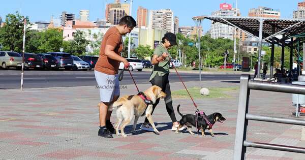 La Nación / Meteorología anuncia una jornada cálida y calurosa para hoy sábado