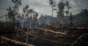 La Nación / Fijan juicio por delito ambiental