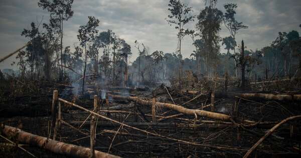 La Nación / Fijan juicio por delito ambiental