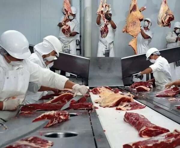 Menores aranceles en la UE impulsarán competitividad local - Económico - ABC Color