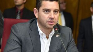 Disputa por la Vicepresidencia pone a Alliana en el foco de la interna