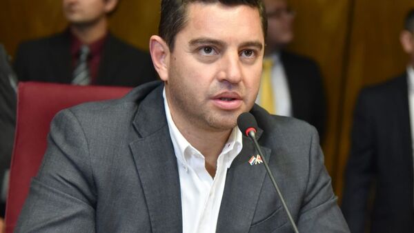 Disputa por la Vicepresidencia pone a Alliana en el foco de la interna