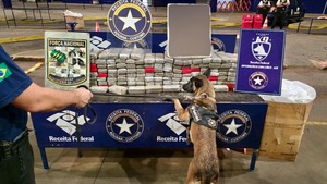 Cae paraguayo con 34,5 kilos de marihuana en Puente de la Amistad - ADN Digital