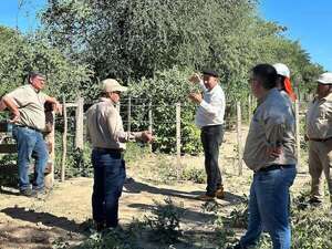 ANDE instalará planta fotovoltaica de 10 MW en Pozo Hondo - Economía - ABC Color