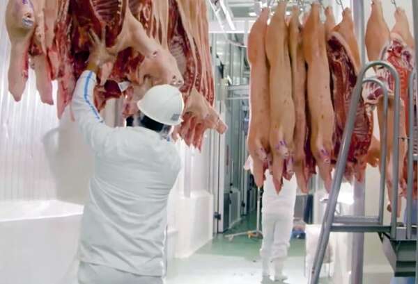 Productores porcinos denuncian caída del 30% en precios y alertan sobre posible contrabando  - ABC Rural - ABC Color