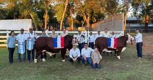 Diario HOY | Tres ejemplares de Ganadera Las Pampas resultan ganadores en la Expo Nacional Braford