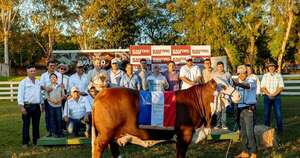 La Nación / “Don Benja” se impuso en la Nacional Braford y empuja competitividad del sector ganadero