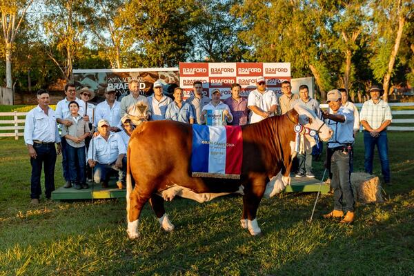 Vientres que producen futuro: Braford consolidó su potencial en la pista de hembras