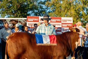 Mustafá Yambay: “Con esta genética en pista, Braford tiene todo para producir más carne y futuro”