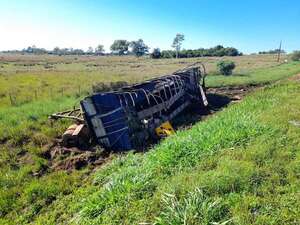Video: Más de 1.000 personas faenan vacunos tras vuelco de transganado en la ruta PY01 - Policiales - ABC Color