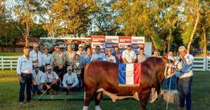 La Nación / “Don Benja” se impone en Nacional Braford y empuja competitividad