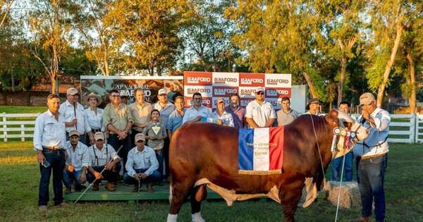 La Nación / “Don Benja” se impone en Nacional Braford y empuja competitividad