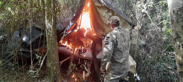 Anulan 291 toneladas de Cannabis
