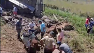 Accidente de camión termina en faena masiva