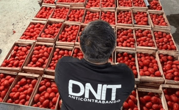 DNIT investiga posible contrabando tras incautación de más de 53.000 kilos de productos - ADN Digital