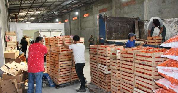 Diario HOY | Megaincautación de mercaderías en depósito: “No hay dudas de que es 100% contrabando”