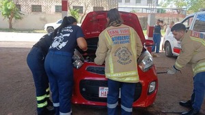 Rescatan una serpiente hallada dentro de un vehículo