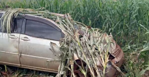 Misterioso abandono de vehículo tras aparatoso vuelco en el tramo Natalio - Triunfo
