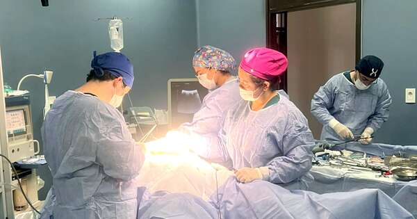 Diario HOY | Realizan cirugía hepática inédita a paciente de 73 años en IPS Ingavi