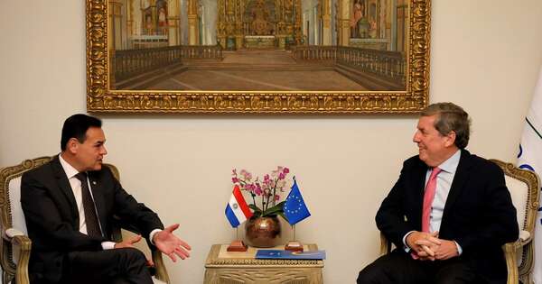 La Nación / Canciller recibió al jefe de la misión de observación electoral de la UE