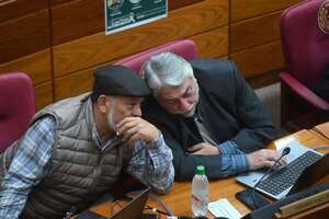 FG hace “un llamamiento nacional” para debatir modelo de gobierno - Política - ABC Color