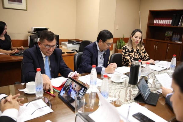 Dictamen en mayoría habilita a expresidentes a competir por otros cargos electivos - ADN Digital