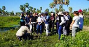 La Nación / El Chaco paraguayo atrae a Singapur como polo estratégico para el mercado de carbono