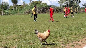 ¿Refuerzo? Entró gallo y pidió cambio al toque