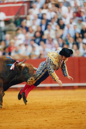 Torero está «muy grave» tras una cornada en el recto