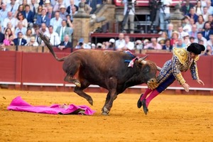 Un famoso torero español sufrió una brutal cornada en Sevilla