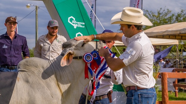 La ganadería toma protagonismo en Expo Pioneros con altas expectativas comerciales