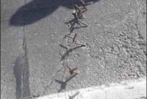 Delincuentes interceptan furgón con medicamentos para adelgazar sobre la ruta PY02