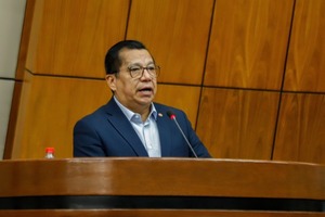 Con Alliana, Honor Colorado se consolidará en el poder, dicen - ADN Digital