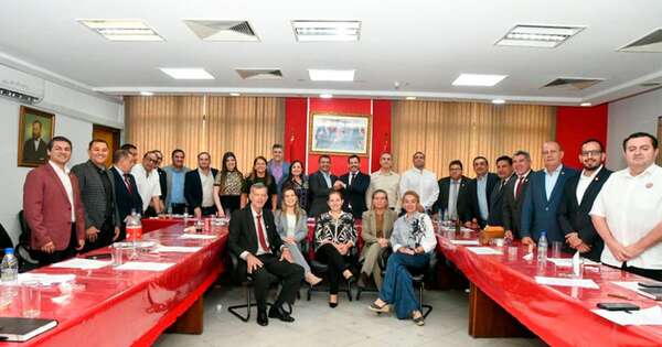 La Nación / Bancada oficialista de Diputados presentará un candidato para acompañar a Alliana