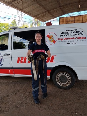 Ante aumento de casos, instan a no intervenir y llamar a bomberos - Concepción al Día