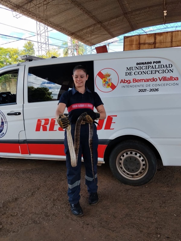 Ante aumento de casos, instan a no intervenir y llamar a bomberos - Concepción al Día