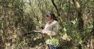 Diario HOY | Paraguay cumple 10 años estudiando sus bosques