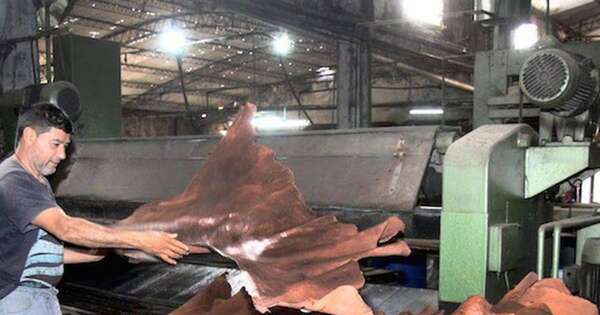 Diario HOY | Cuero paraguayo denuncia “campaña difamatoria” y defiende su producción