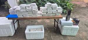 Video: Policía recupera lote de medicamentos para adelgazar robados en Cordillera - Policiales - ABC Color