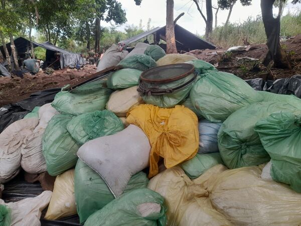 Incautan más de 10 toneladas de marihuana en operativo antidrogas en Concepción - Concepción al Día