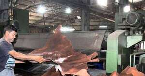 La Nación / Sector del cuero denuncia campaña de ONGs europeas que frenan exportaciones paraguayas