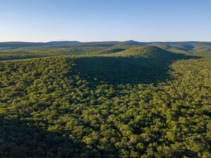 Paraguay presentará nuevo Inventario Forestal y apunta a liderar monitoreo ambiental